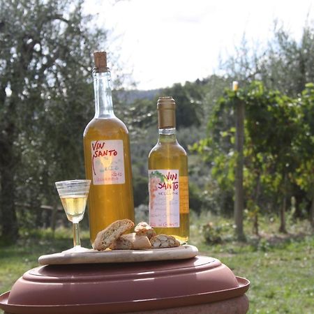 Hotel Agriturismo Podere Somigli di Lorenzo Correani Greve in Chianti Esterno foto
