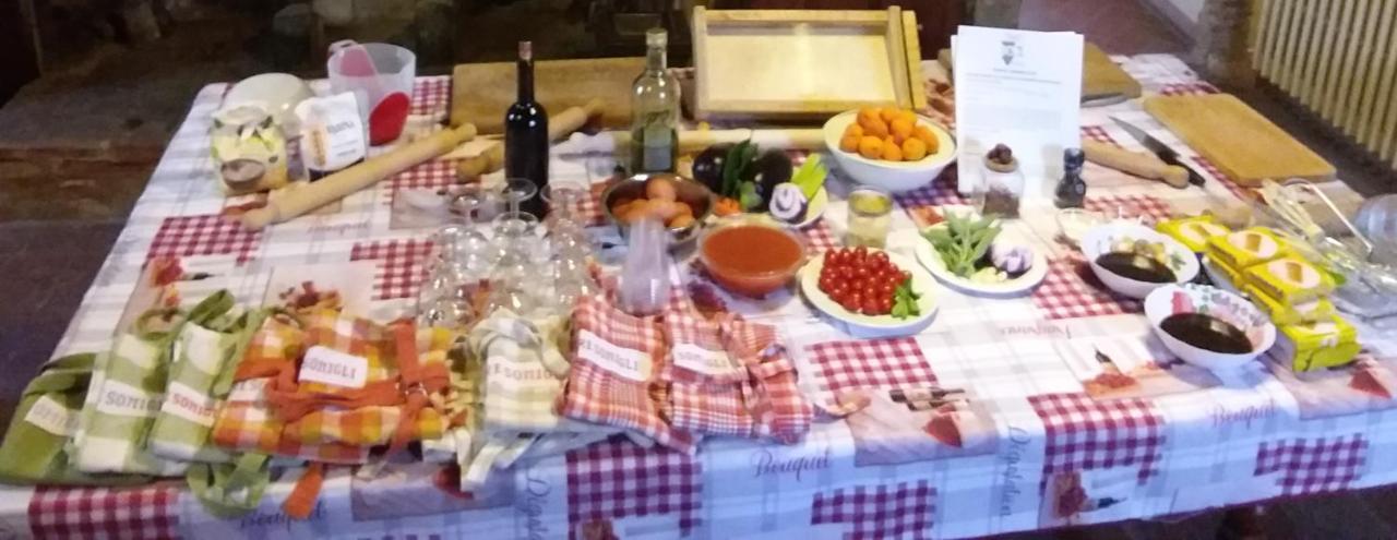 Hotel Agriturismo Podere Somigli di Lorenzo Correani Greve in Chianti Esterno foto