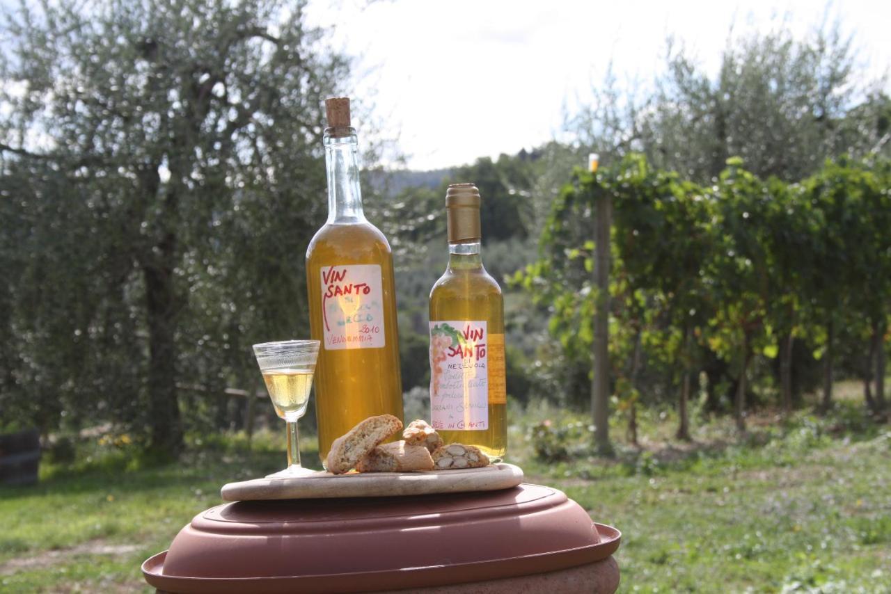 Hotel Agriturismo Podere Somigli di Lorenzo Correani Greve in Chianti Esterno foto